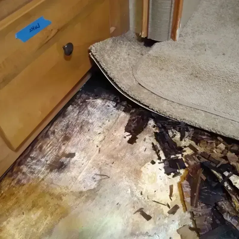 Best Wood Floor Water Damage Service in Chestnut Ridge, NY